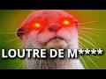 Les Loutres ne méritent PAS votre Amour thumbnail