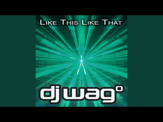 DJ Wag - Like This Like That