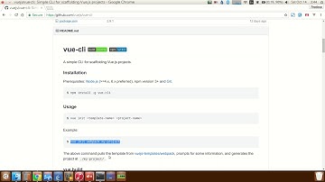 Setting Up a Vue Js Using NPM (Node Package Manager)