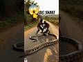 "Crazy Road Rescue… Python vs Humans 😳🔥" #shortsviral #animalattack #viarlshorts