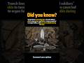 WWl Trench Diseases That Turned Skin Green#history #shorts
