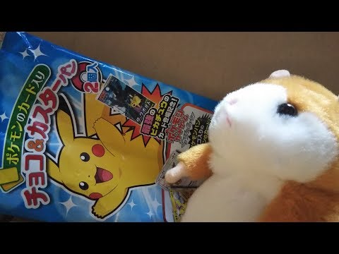 【ポケモンカードゲーム】『ポケモンのカード入り チョコ＆カスターパン2個入（ポケモンパン）』開封　～ポケカ1パックチャレンジ～【Pokémon TCG】Part21