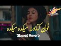 Tol Kitabona Maikada Maikada Slowed Reverb Pashto Songs New Song 2023 Lawangstudio Tol Kitabona Maikada Maikada Slowed Reverb Pashto Songs New Song 2023 Lawangstudio