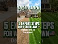 Get a Green Lawn This Spring: 5 Simple Steps! #Shorts #LawnCare