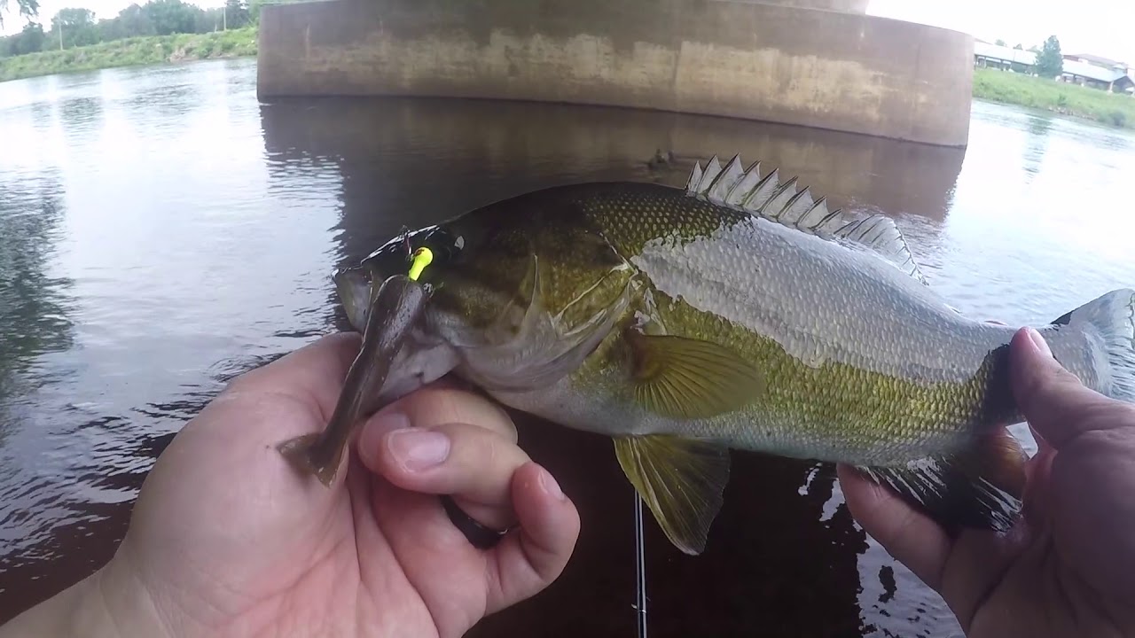 Chippewa River Bass Fishing  Smallmouth Love The Liquid Willow