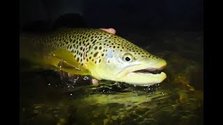 ORVIS - How to fish small dry flies in low light