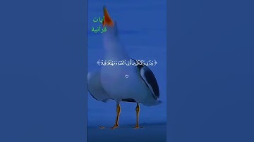 #بسم_الله_الرحمن_الرحيم #آيات #قرآن #ترند #لايك #اكسبلور #راحة_نفسية #دويتو