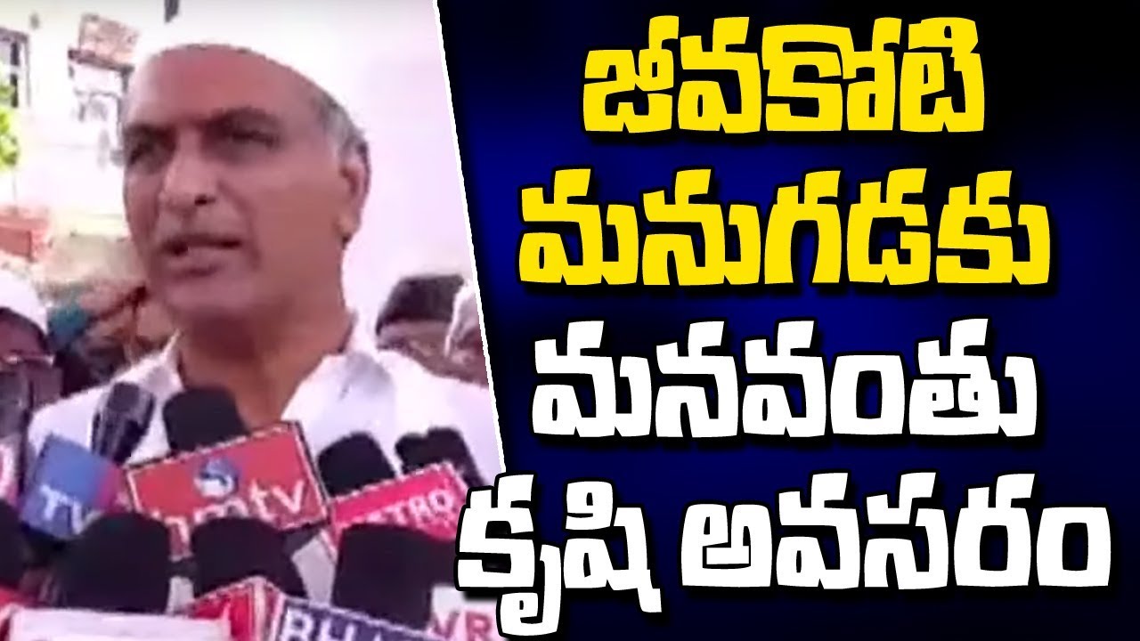 TRS MLA Harish Rao Plants Saplings In Siddipet Court Grounds ll World Environment Day