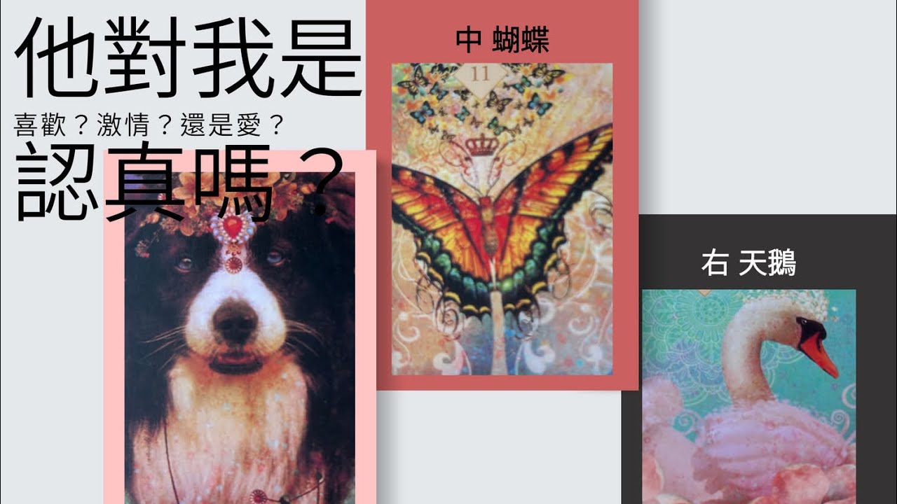 塔羅占卜🔮他對你是是喜歡、激情、還是愛？對你是認真的嗎？