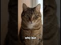 Today Matters #cat