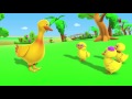 cinco patinhos | rima de berçário popular | vídeo educativo | Five Little Ducks