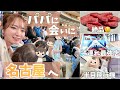 【子連れ旅行】パパに会いに行く！名古屋親子旅【飛行機・野球・巨大遊具】