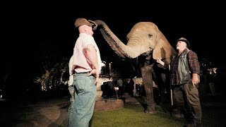 THE NIGHT SAFARI! by Myrtle Beach Safari 23,158 views 2 years ago 1 minute, 44 seconds