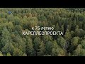 К 75-летию Кареллеспроекта: С любовью к лесу