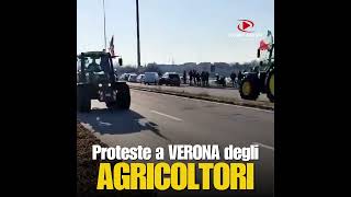 Robby Giusti - il Risveglio degli agricoltori continua, oggi a Verona.