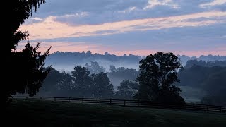 Joan Baez - Fare Thee Well (Ten Thousand Miles) (Lyrics)  [HD]+