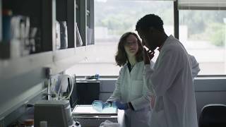 Two Minds are Better: Discover Your PhD