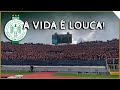 A vida  louca   nova msica da torcida do raja casablanca