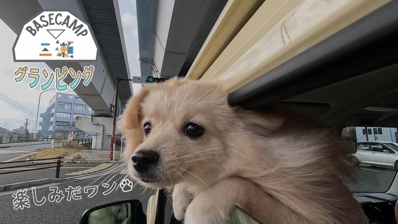 【三瀬base camp】初めて愛犬とグランピングに！🏕️ Dog’s First Glamping !