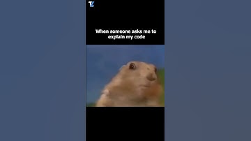 When Someone Asks Me to Explain My Code 😭| Developer Meme #funnyvideo #trendingmemes