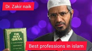 islamic/zakirnaik/bestprofessioninislam