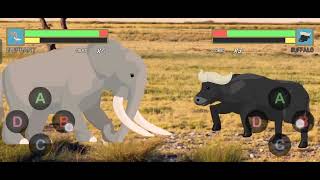 elephant vs. buffalo