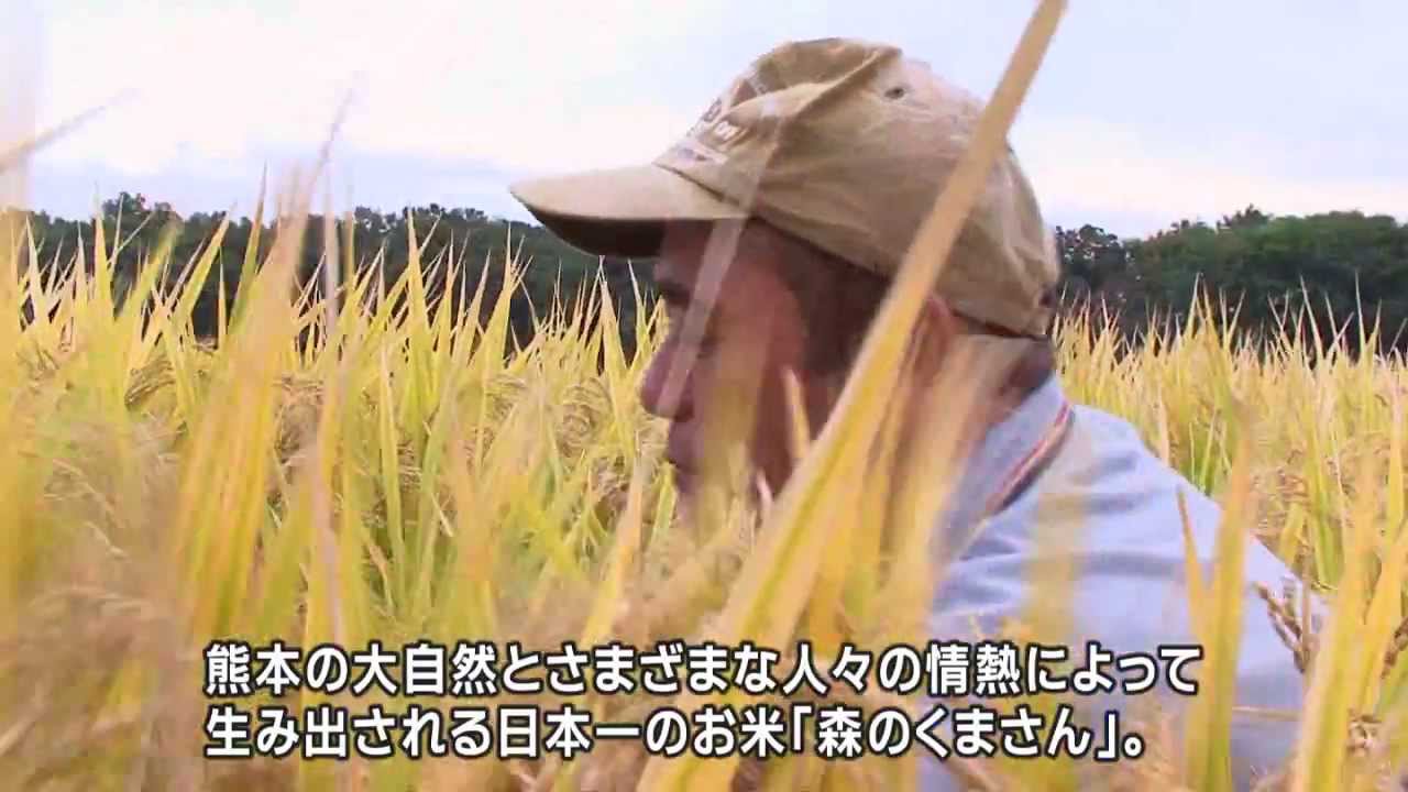 Photos By Jalna Mori No Kuma San Rice Photos By Jalna Mori No Kuma San Rice