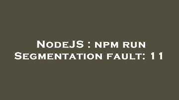 NodeJS : npm run Segmentation fault: 11
