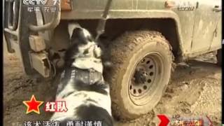20140420 谁是终极英雄 神犬出击