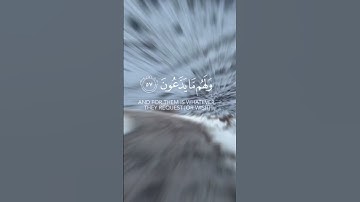 إِنَّ أَصْحَابَ الْجَنَّةِ الْيَوْمَ فِي شُغُلٍ فَاكِهُونَ❤️ عبدالله الموسى ❤️ #روائع_التلاوات