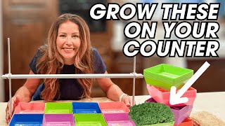 What’s Inside the 5x5 Microgreens Kit | Kitchen Garden Setup