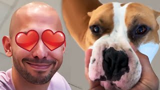 Andrew Tate Love Moment With Dog