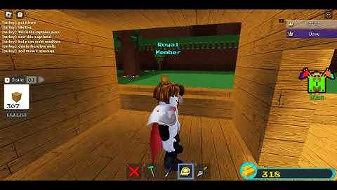 Building A pirate Ship part 2