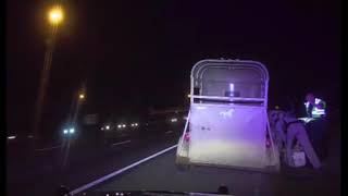Caught on Camera: Lemur escapes during DUI stop