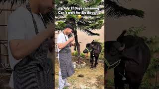 Eid ul-Adha coming! sacrificial animal in danger🥹🐏 #arshmashal #relatable #islamicreminder #muslim