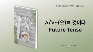 A/V~(으)ㄹ 것이다 Future Tense