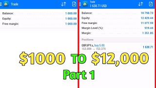 $1000 To $12000 | Part 1