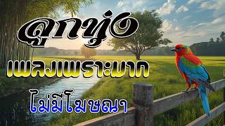 ลูกทุ่งเพลงเพราะมาก : รวมเพลง ลูกทุ่งฮิตที่สุด ฟังต่อเนื่...