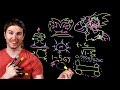 Hyperbolic Time Spaceship | Because Science Live