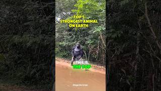 Top 5 Strongest Animal on Earth #shorts