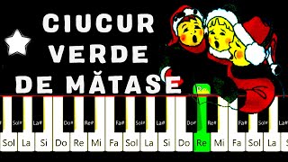 CIUCUR VERDE DE MATASE Cantece de Craciun PIAN