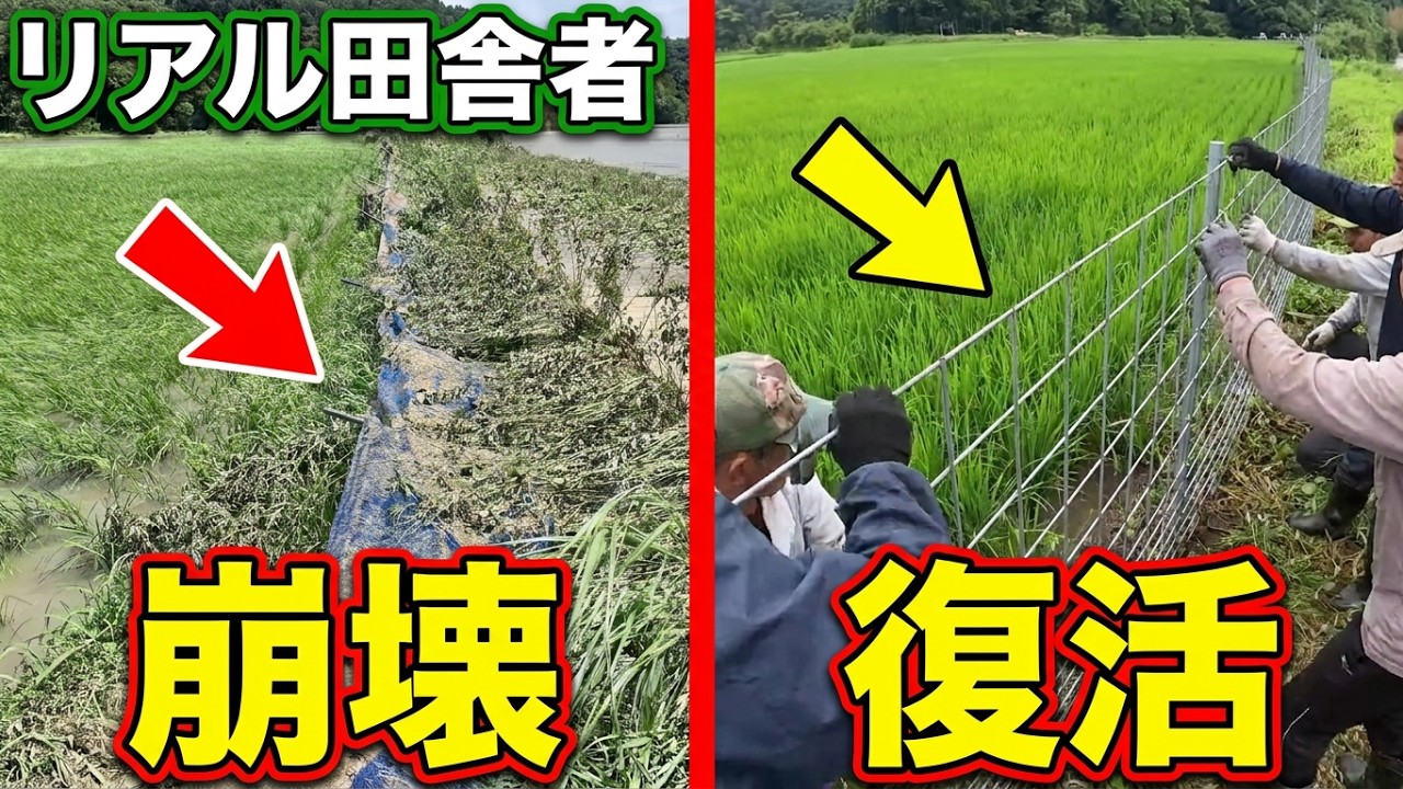 台風の爪痕〜後編