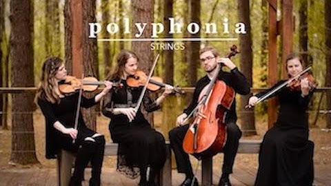 Beautiful Things Music Video - About Polyphonia Strings