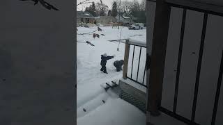 snow ball fight