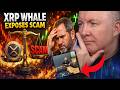 🚨 XRP Whale Exposes Shocking Scam? Brad Garlinghouse Under Fire – Martyn Lucas Investor