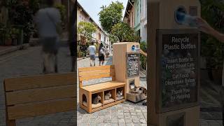 ✅ Transforming Plastic Bottles into a Smart Cat Feeding Bench 🐱♻️ | Real Community Impact