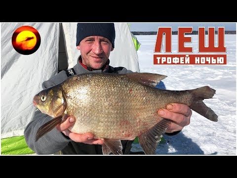 Ловля леща ночью / Рыбалка в палатке / Лещ весной / Яузское водохранилище / Пудыши