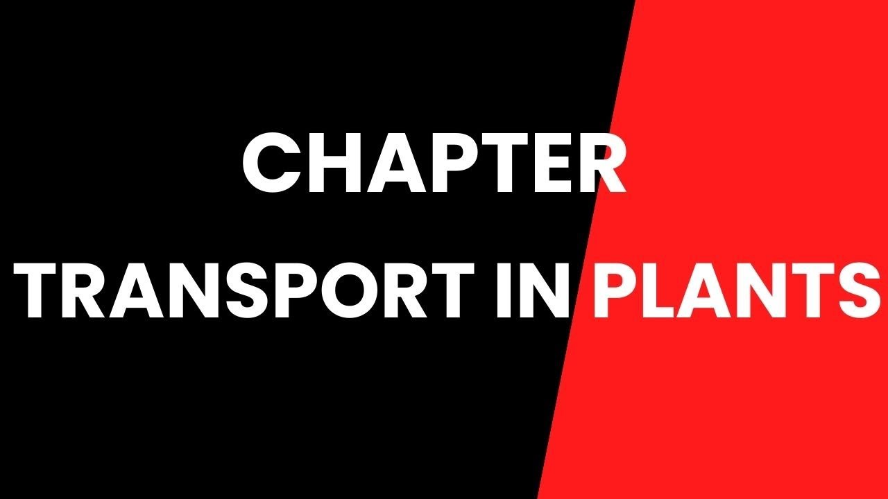 chp 1 Transport in plants ( Diffusion) - YouTube