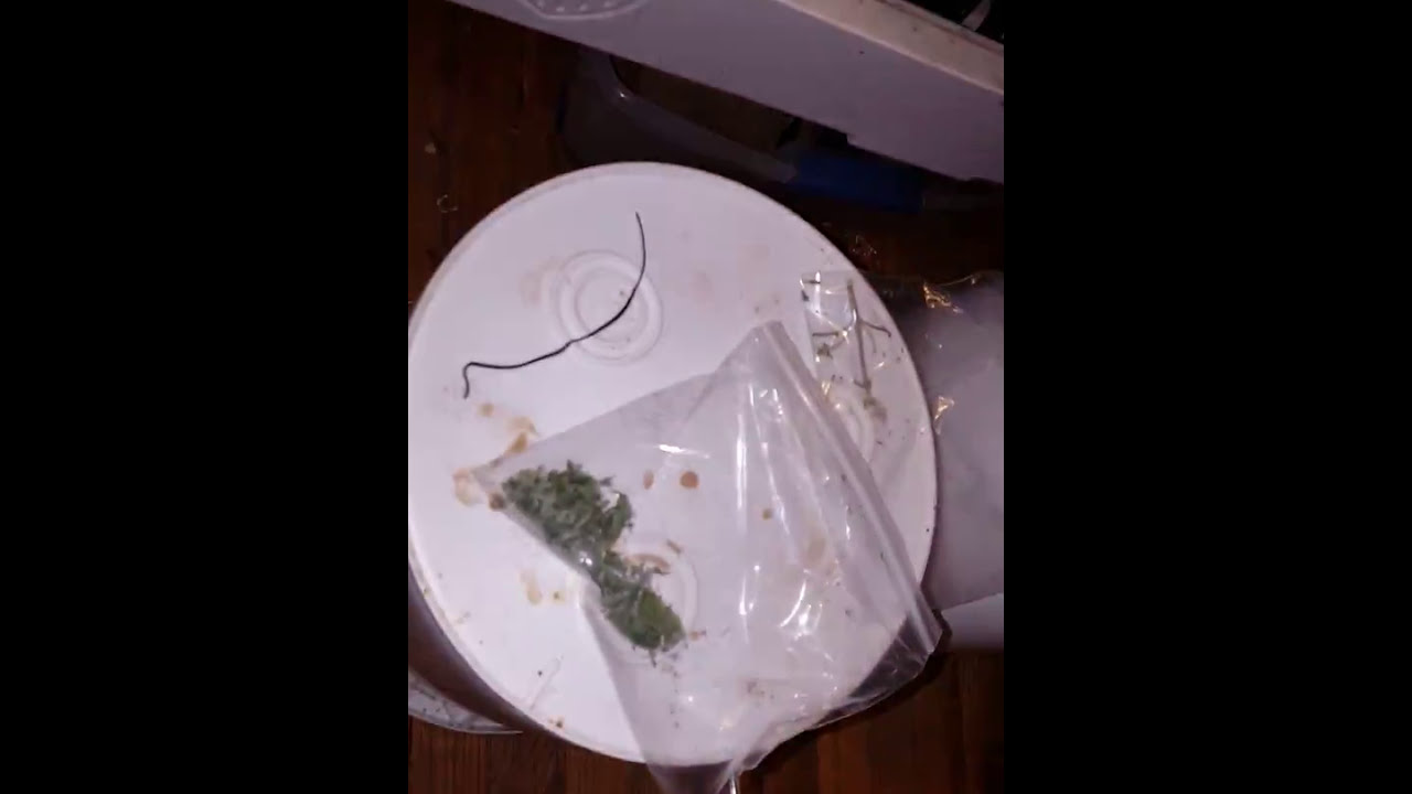 CROSSBREEDING MADE EASY