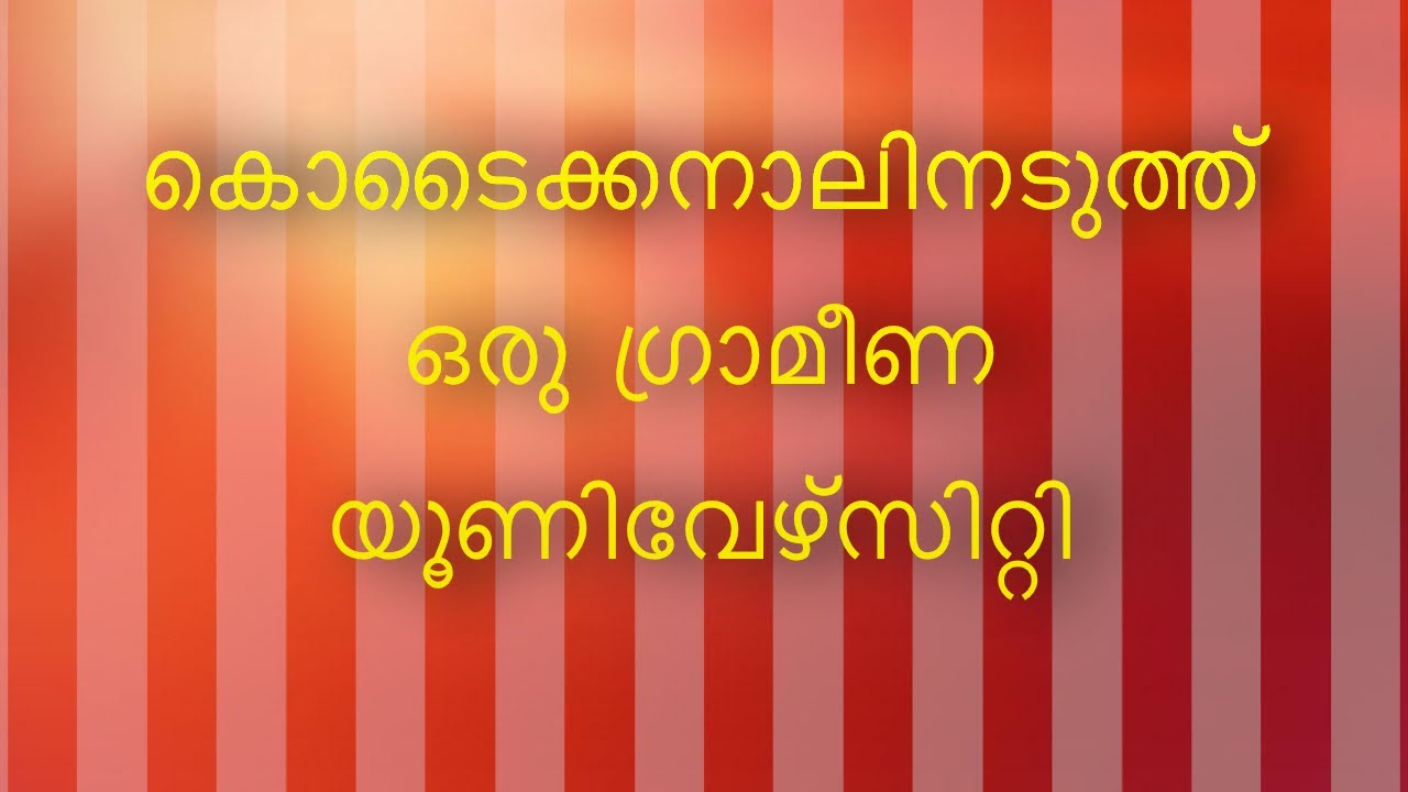 After plus two,After degree,career guidance, best university, best course ,CUET 